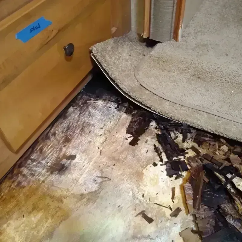 Best Wood Floor Water Damage Service in Festus, MO